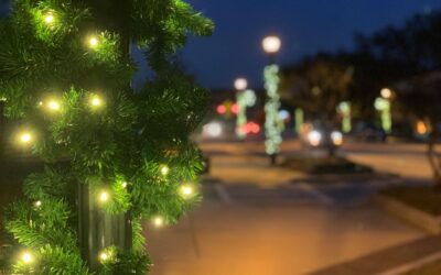 Community Group and City add Holiday Spirit to Main Street