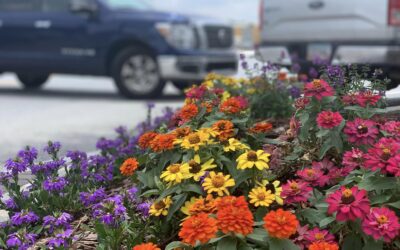 Tucker-Northlake CID funds flowers on Main Street